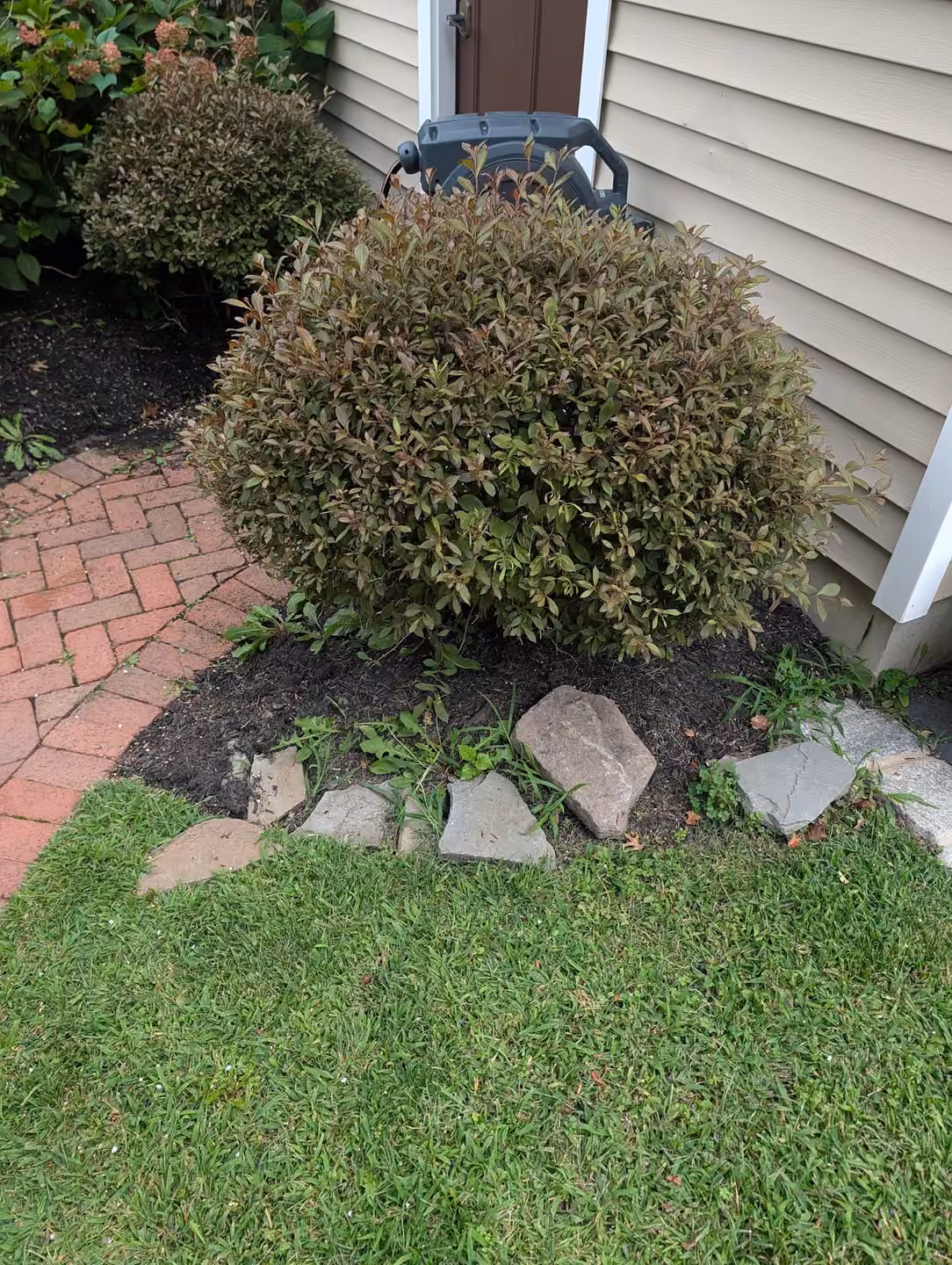 Weeding area 1