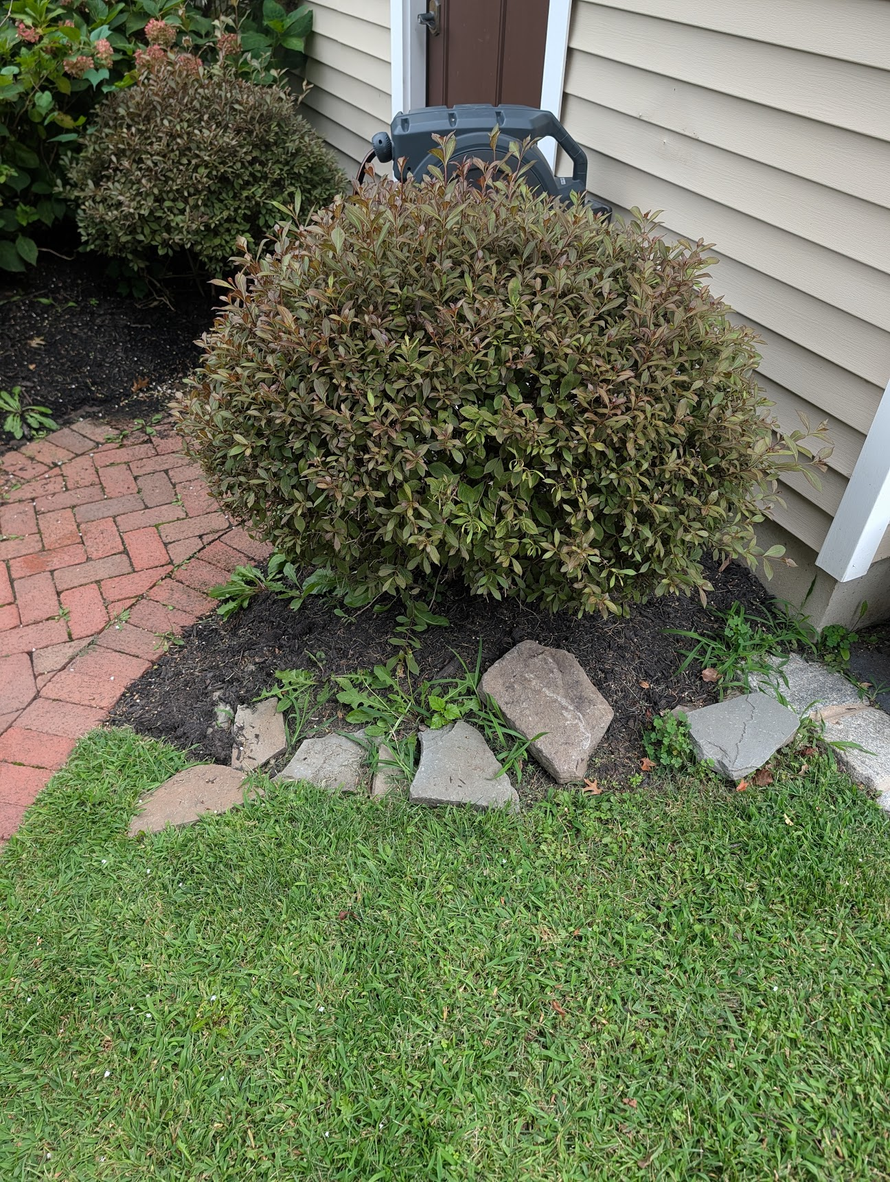 Weeding area 1