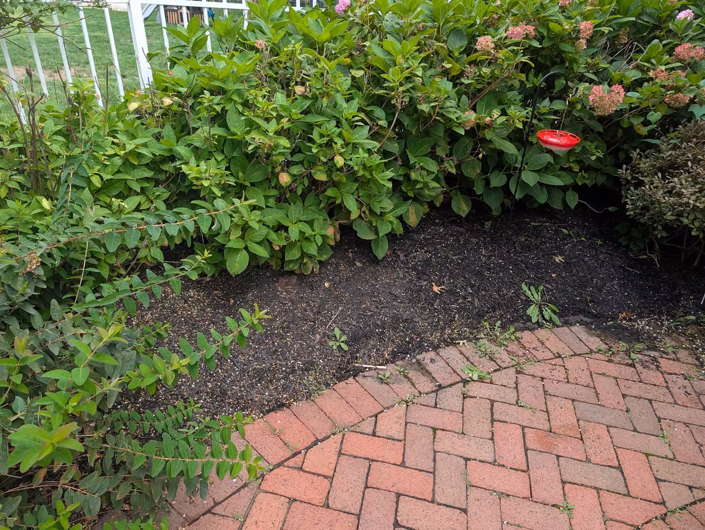Weeding area 2