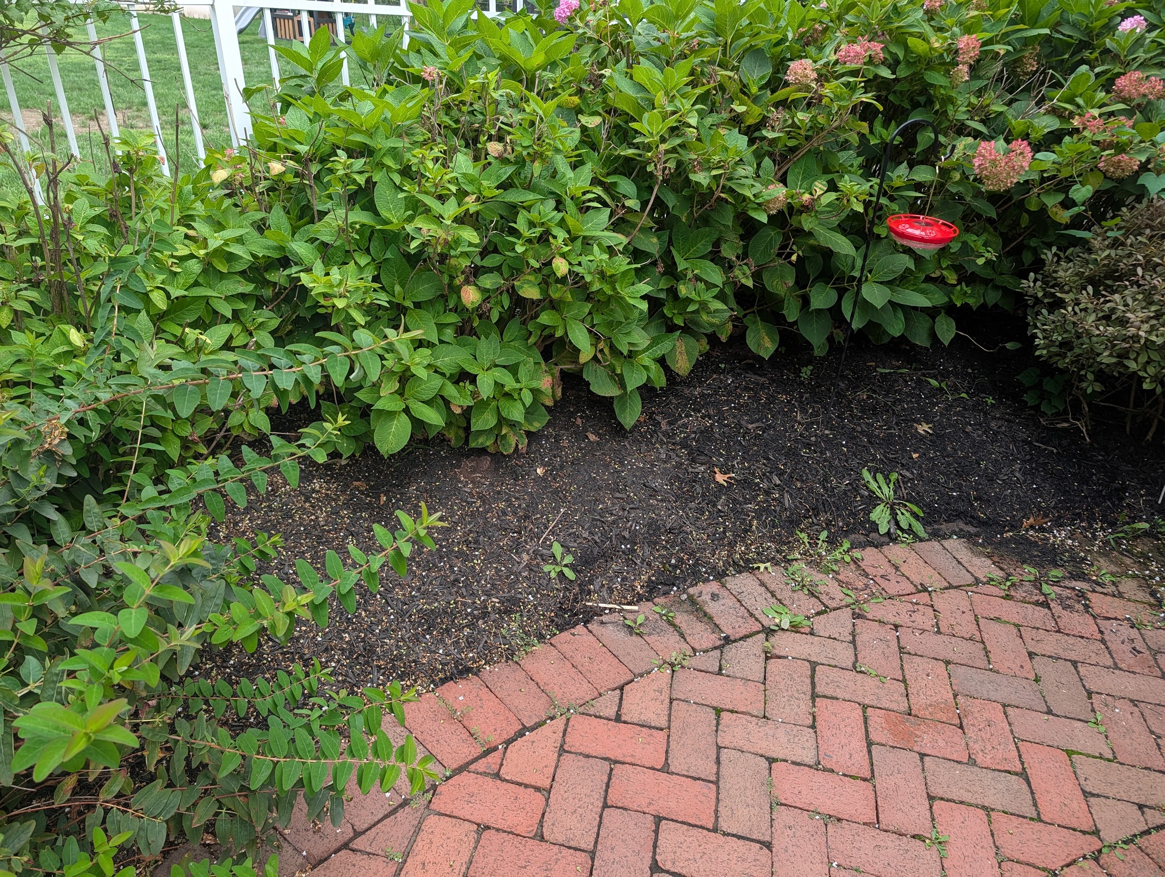 Weeding area 2