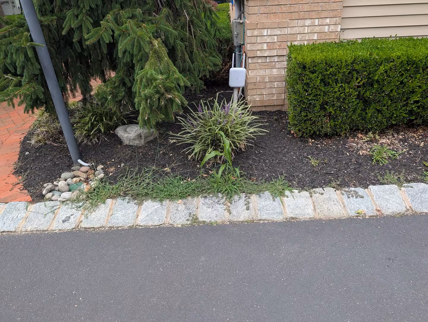 Weeding area 3