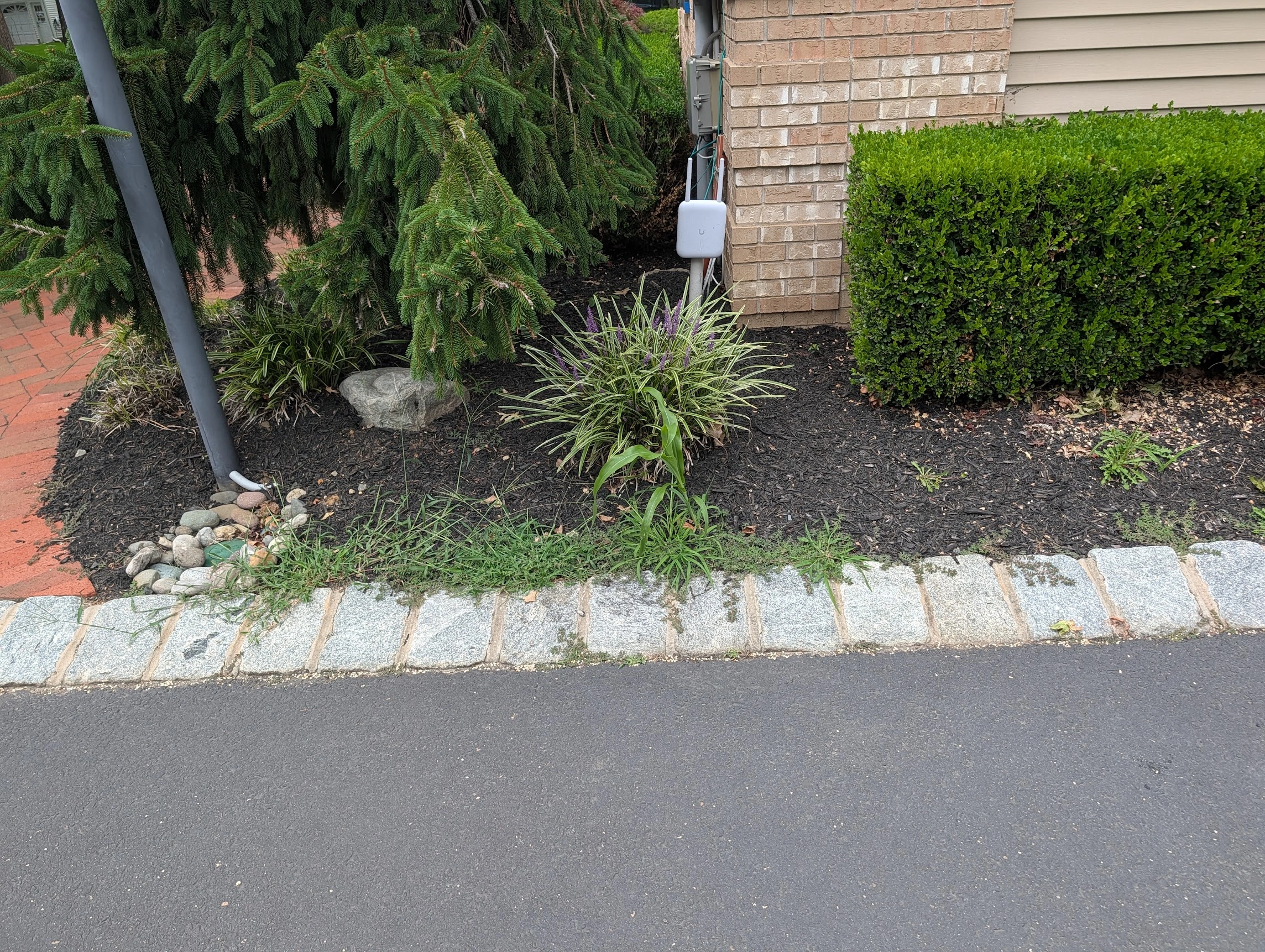 Weeding area 3