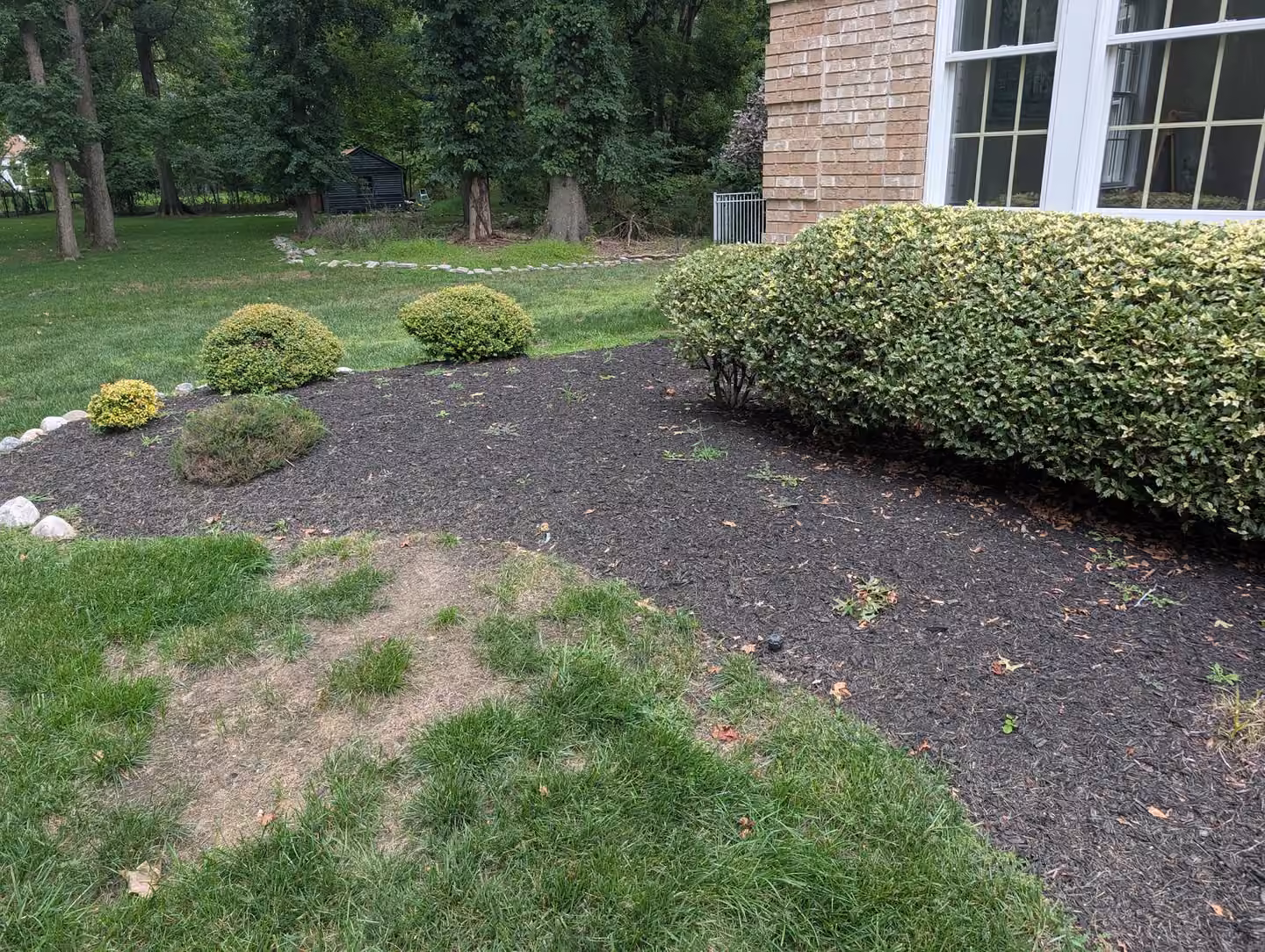 Weeding area 6