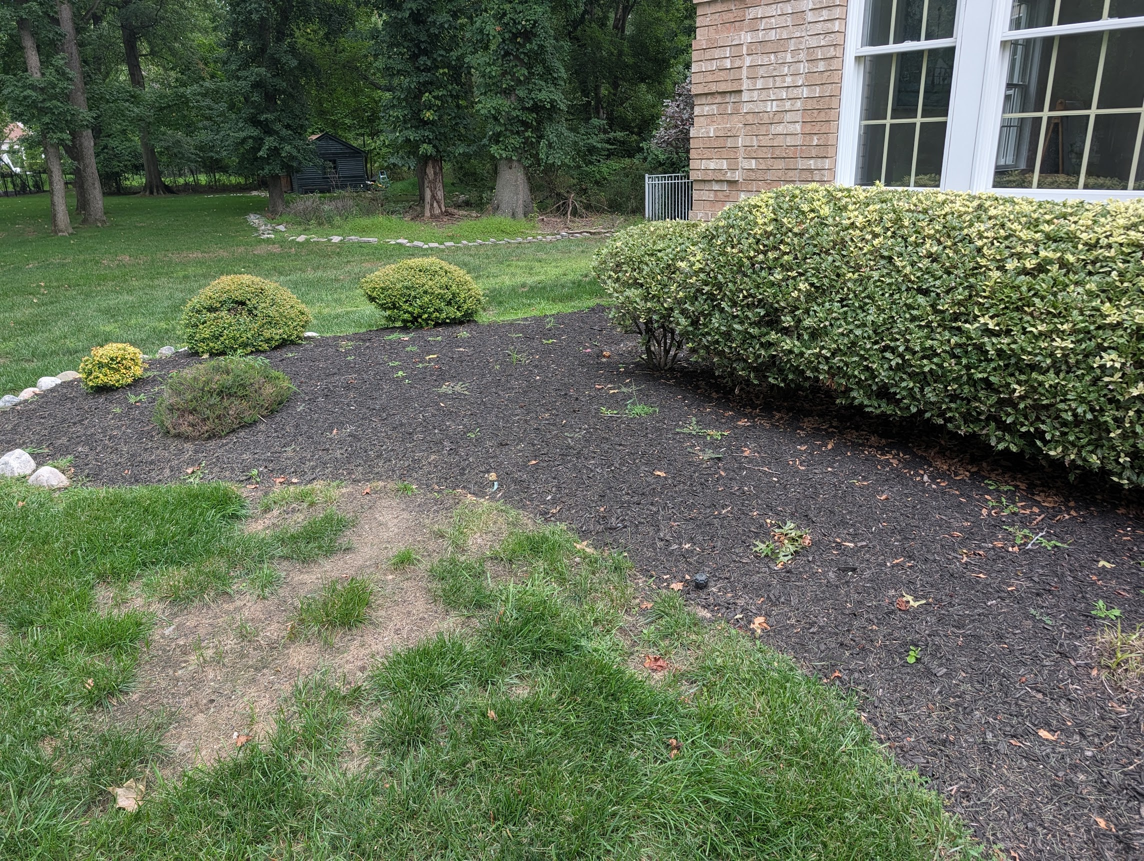 Weeding area 6