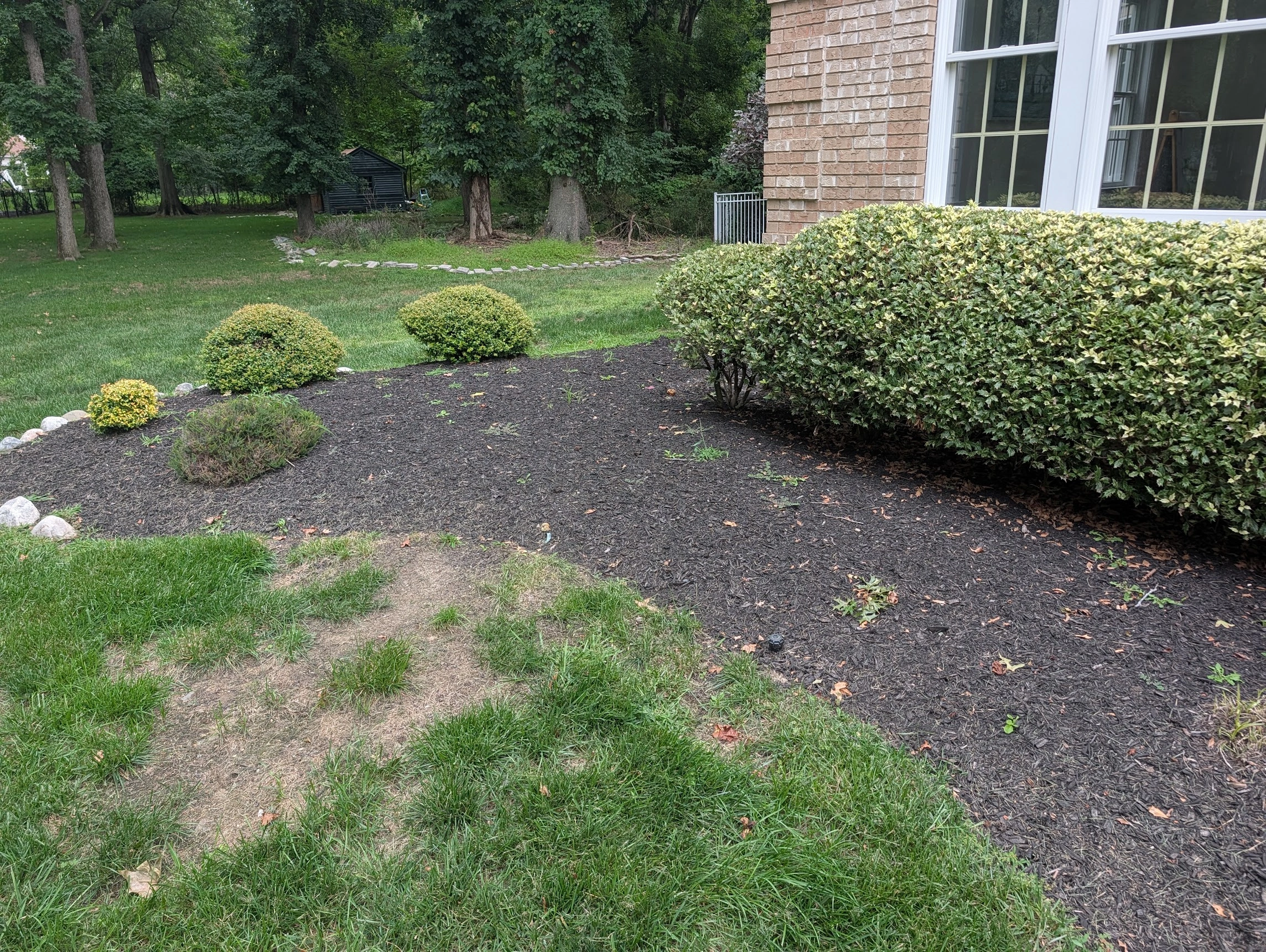 Weeding area 6