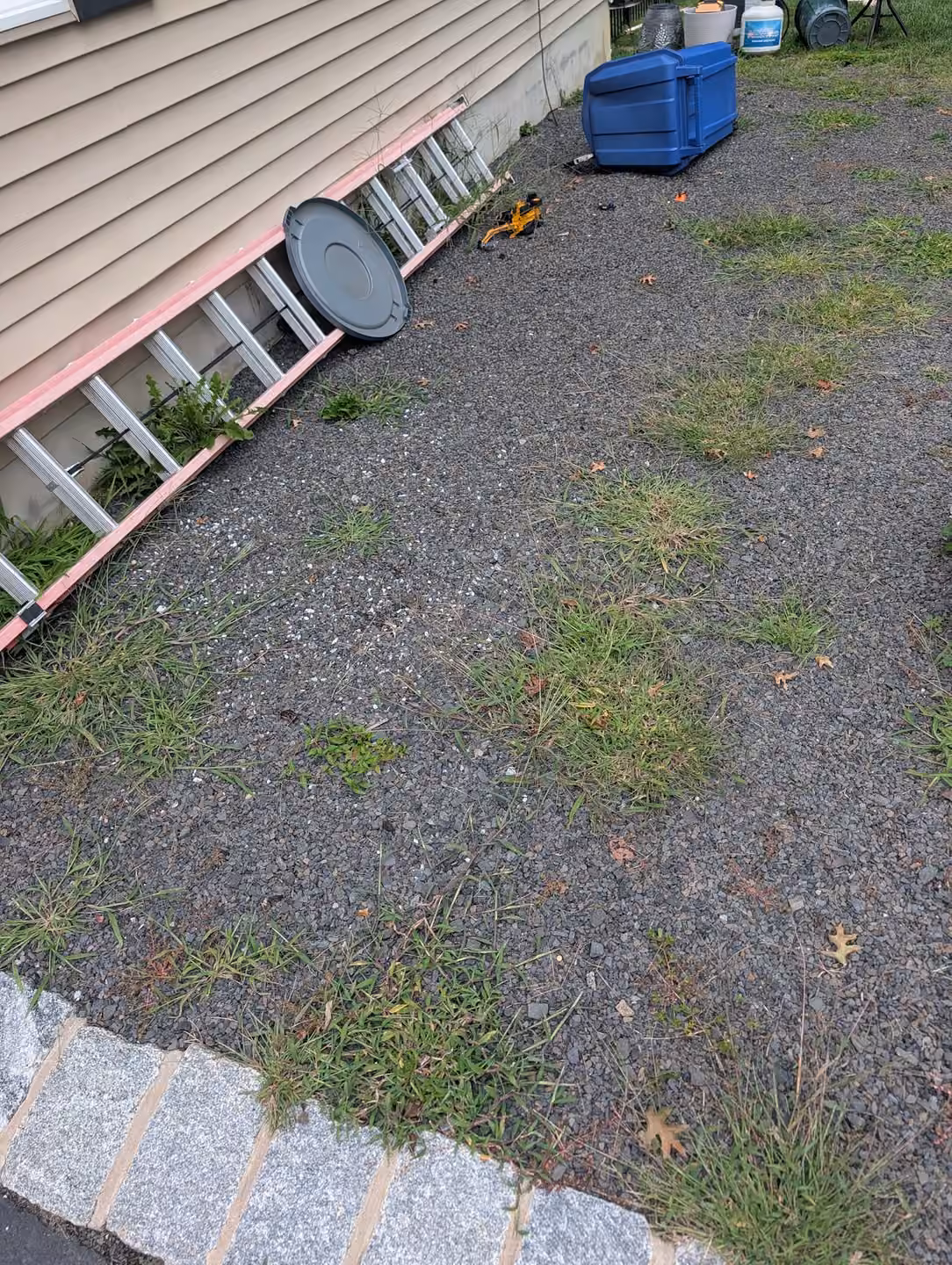 Weeding area 8