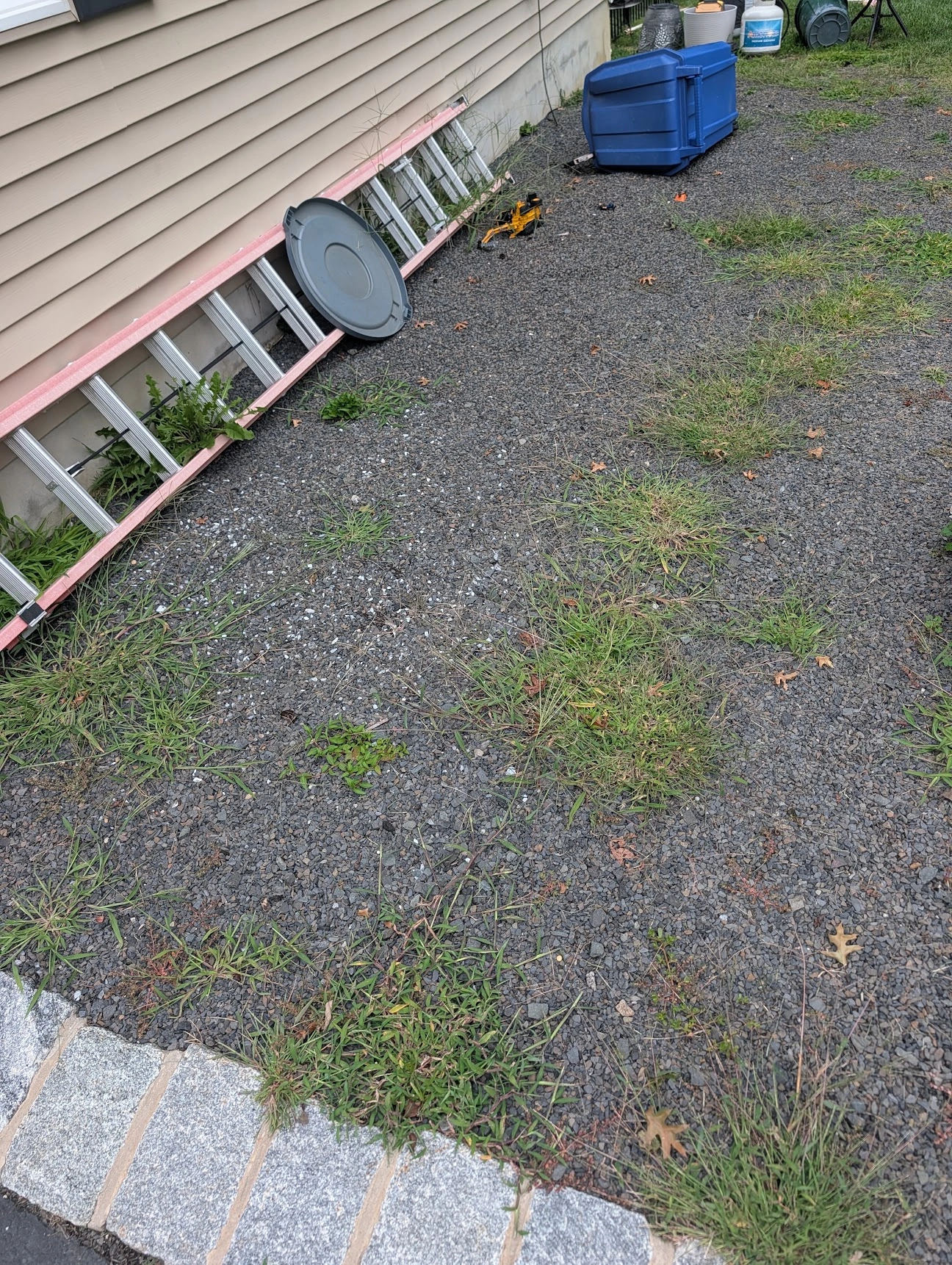 Weeding area 8